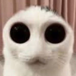 Meet your Posher, Verbena